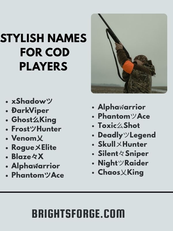 Stylish Names for COD Players