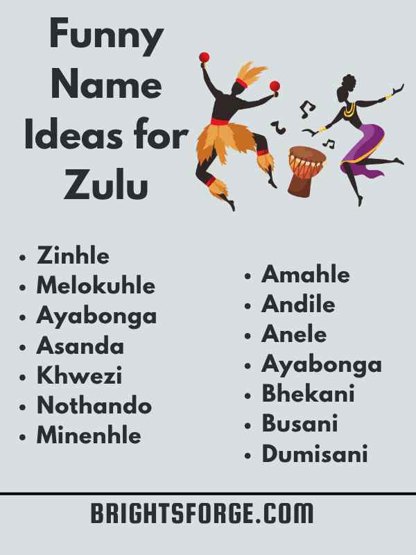 Funny Name Ideas for Zulu