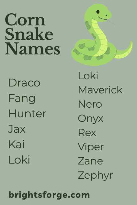 Corn Snake Names