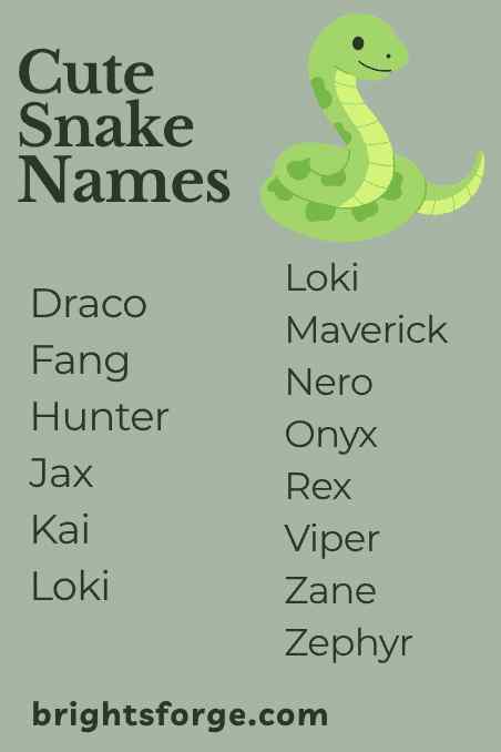 Cute Snake Names