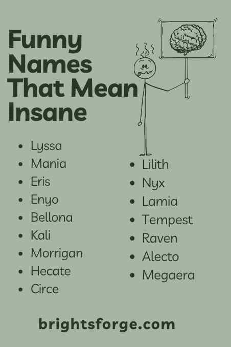 Funny Names That Mean Insane