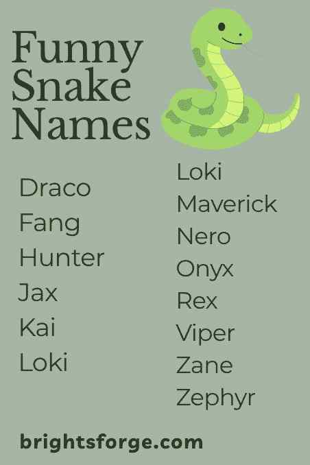 Funny Snake Names
