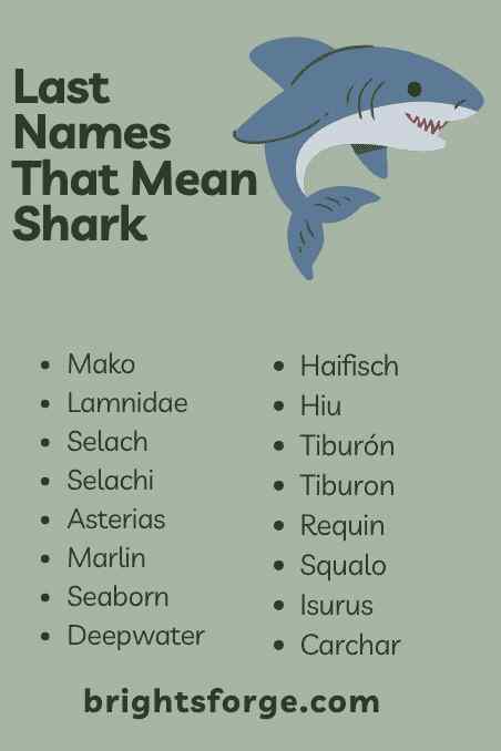 Last Names That Mean Shark