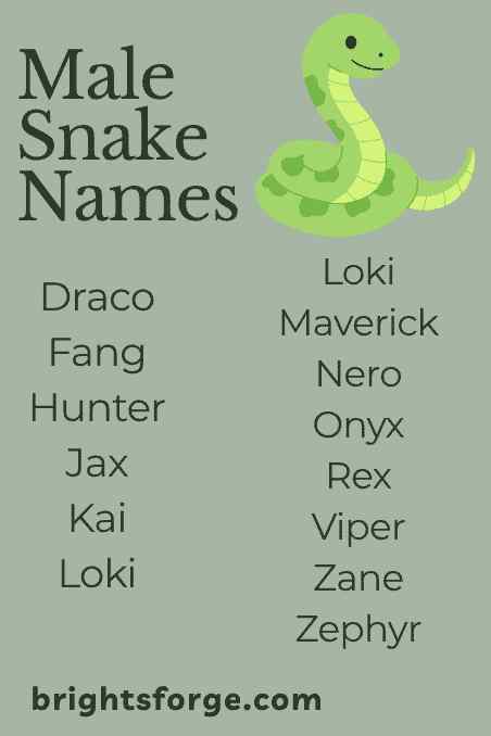 Male Snake Names