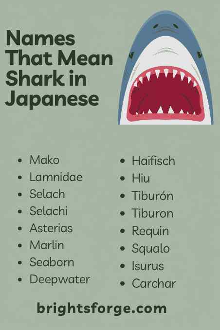 Names That Mean Shark in Japanese