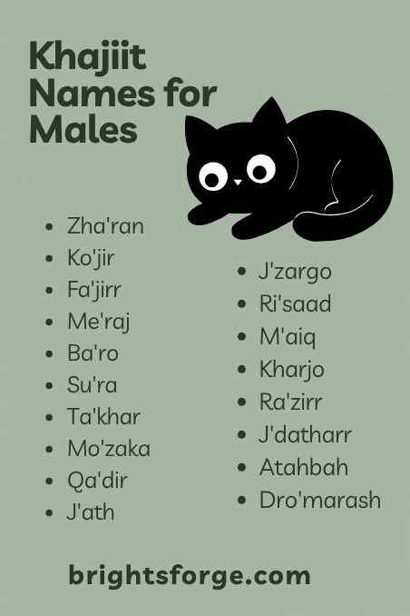 Khajiit Names for Males