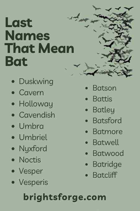 Last Names That Mean Bat