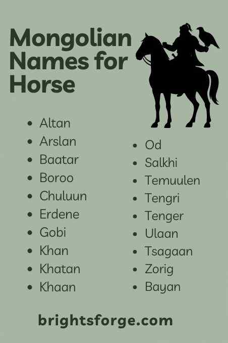 Mongolian Names for Horse