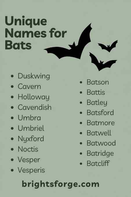 Unique Names for Bats