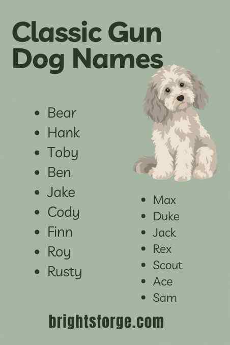 Classic Gun Dog Names