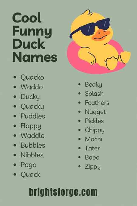 Cool Funny Duck Names