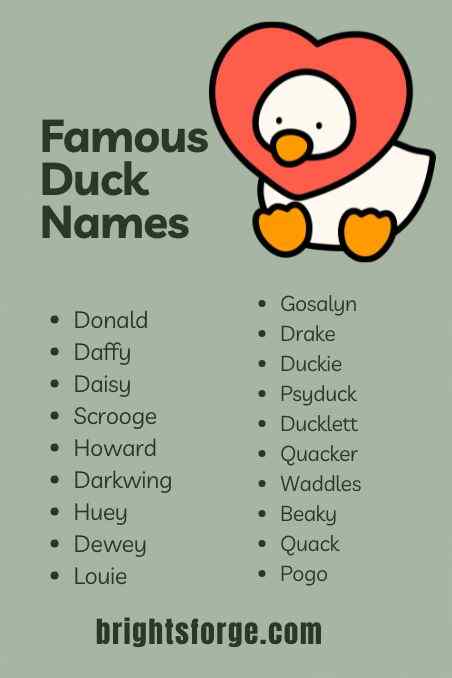 Famous Duck Names