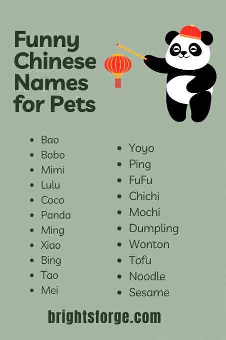 Funny Chinese Names for Pets