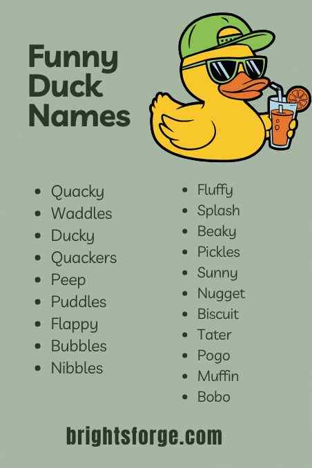 Funny Duck Names