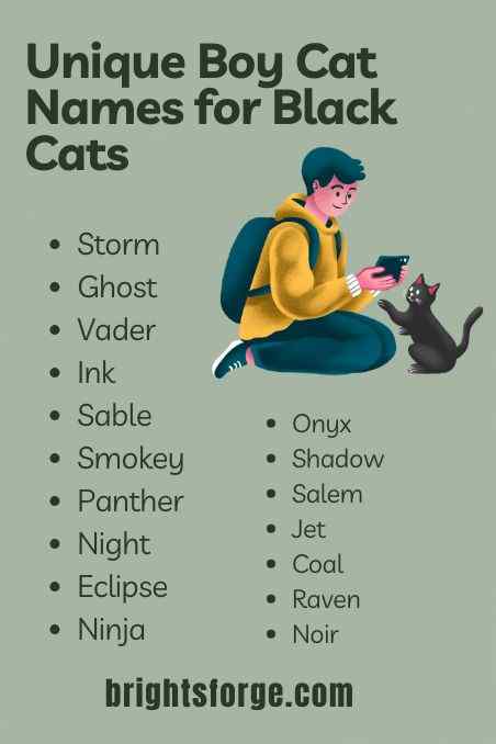Unique Boy Cat Names for Black Cats